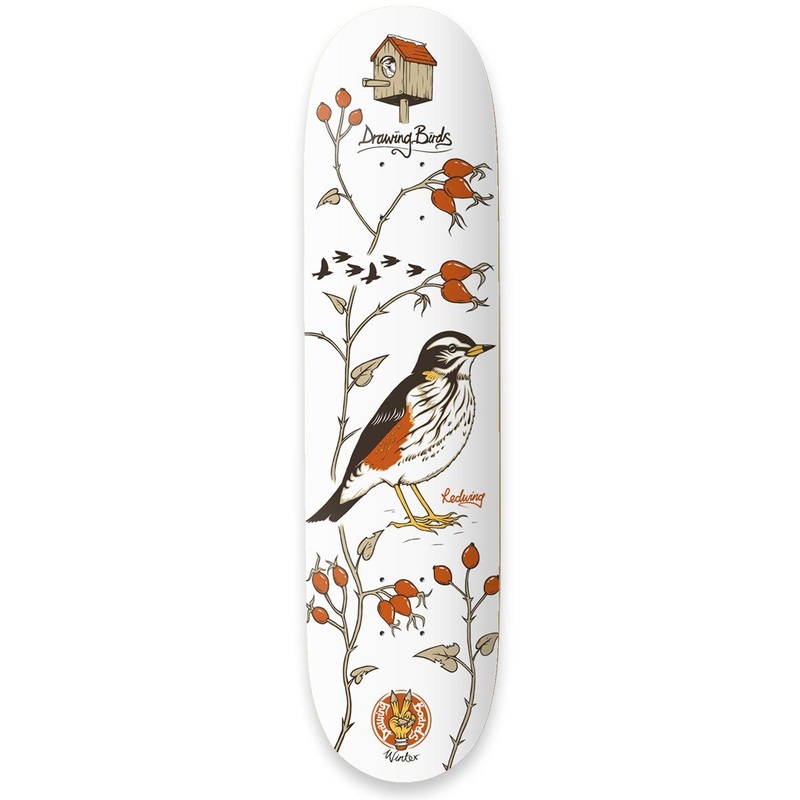 Drawing Boards Redwing Skateboard Deck – 8.1″