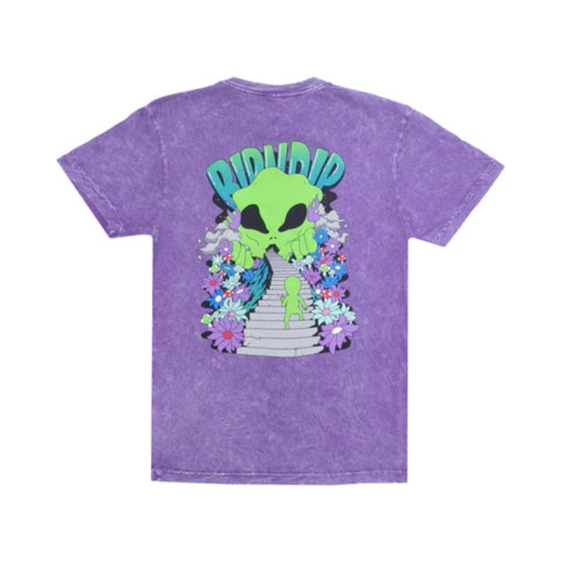 RIPNDIP The Unknown T Shirt – Purple Mineral Wash S