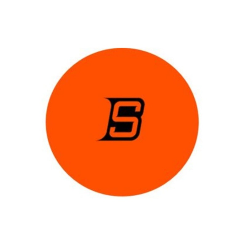 Blue Sports Street Hockey Ball Orange