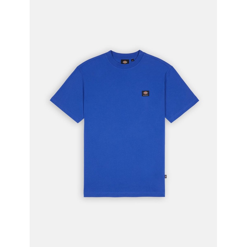 Dickies Skateboarding Mount Vista T-Shirt – Satin Sky XS
