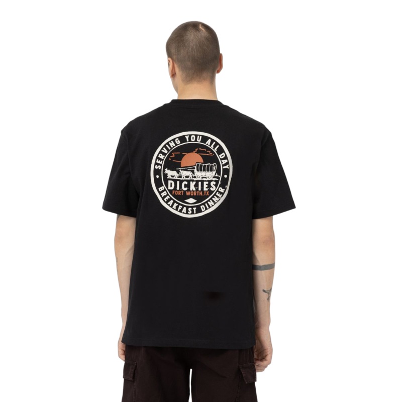 Dickies Greensburg T-Shirt – Black XS