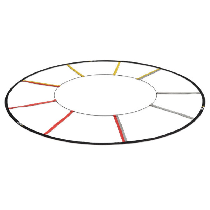 Reactive Agility Ladder